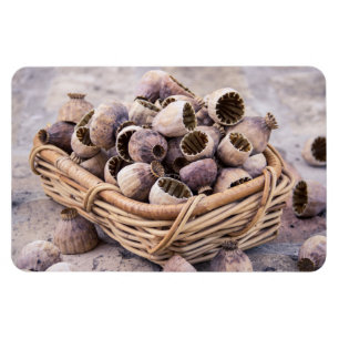 Basket of Dried Pod Poppy Seeds Magnet