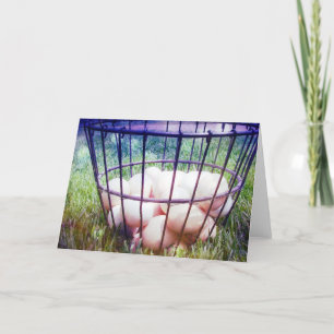 Basket of Eggs Card