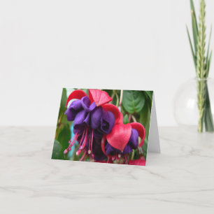 Basket of flowers Notecard