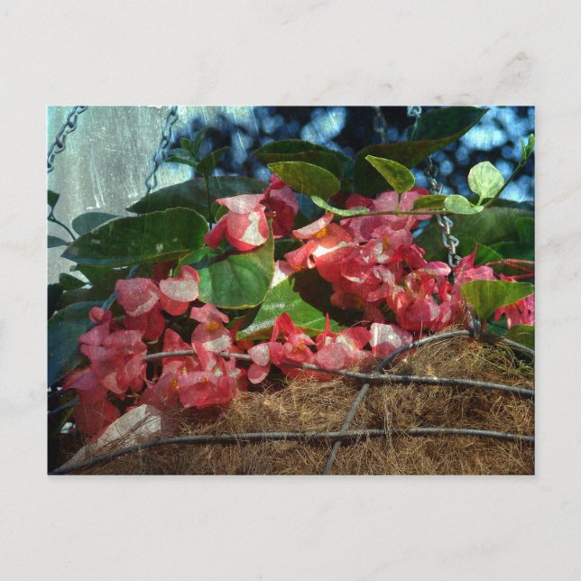 Basket of Flowers Postcard (Front)