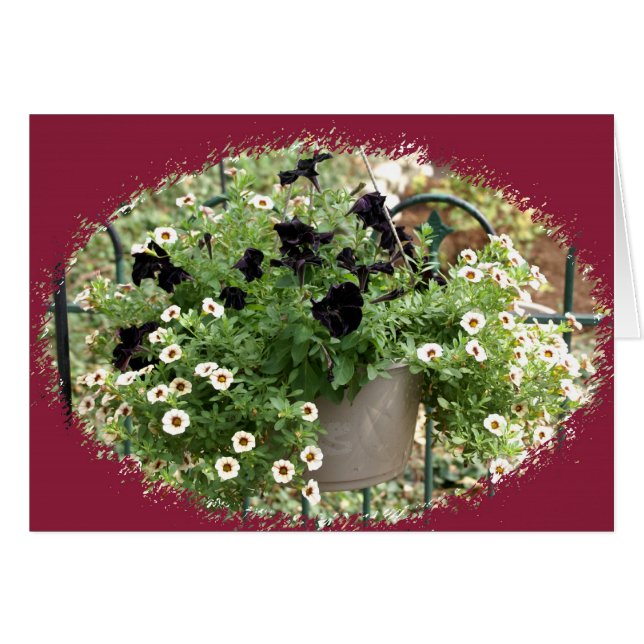 Basket of Petunias (Front Horizontal)