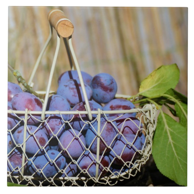 Basket of Purple Plums Tile (Front)