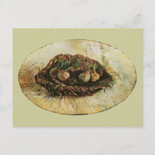 Basket of Sprouting Bulbs, Vincent van Gogh Postcard
