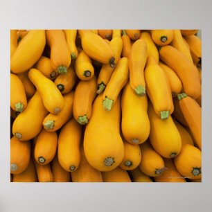 Basket of yellow zucchini poster