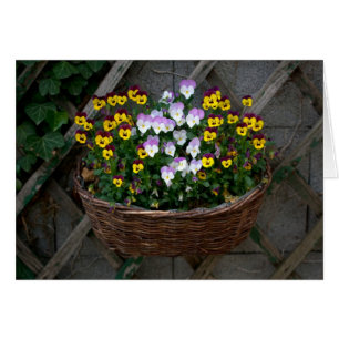 Basket With Violas