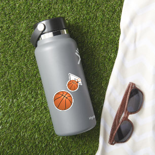 Basketball and Hoop
