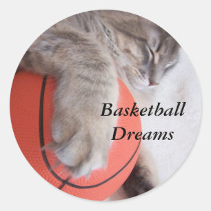 Basketball dreams sticker