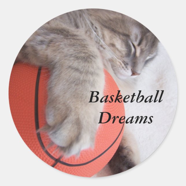 Basketball dreams sticker (Front)