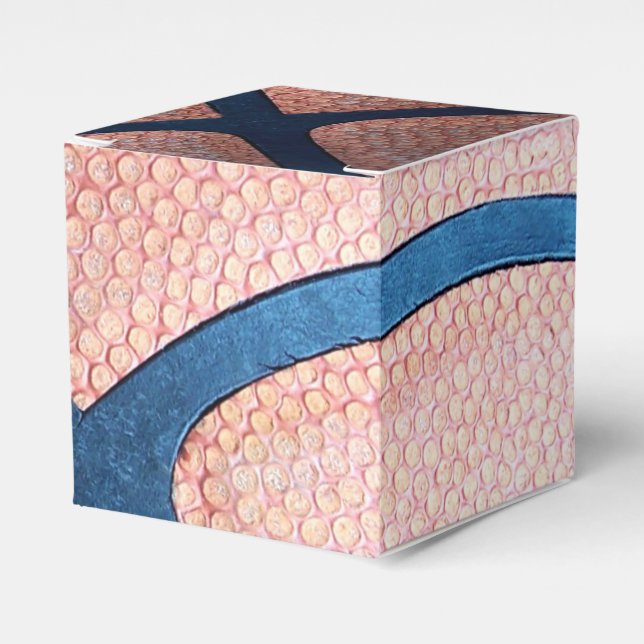 Basketball Favour Box (Front Side)