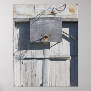 Basketball net on rustic building poster
