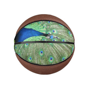 Basketball - Peacock with Tailfeathers