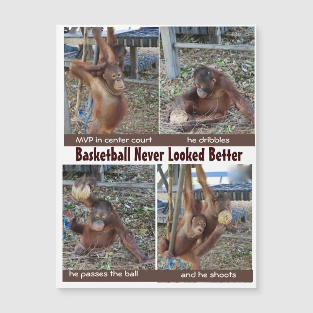 Basketball Sports Heroes Postcard (Front)