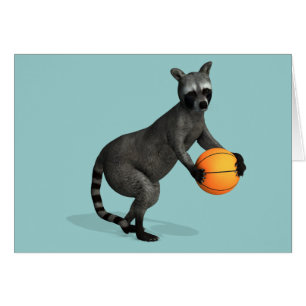 Basketballer Racoon