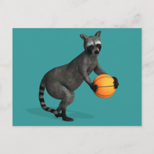 Basketballer Racoon Postcard