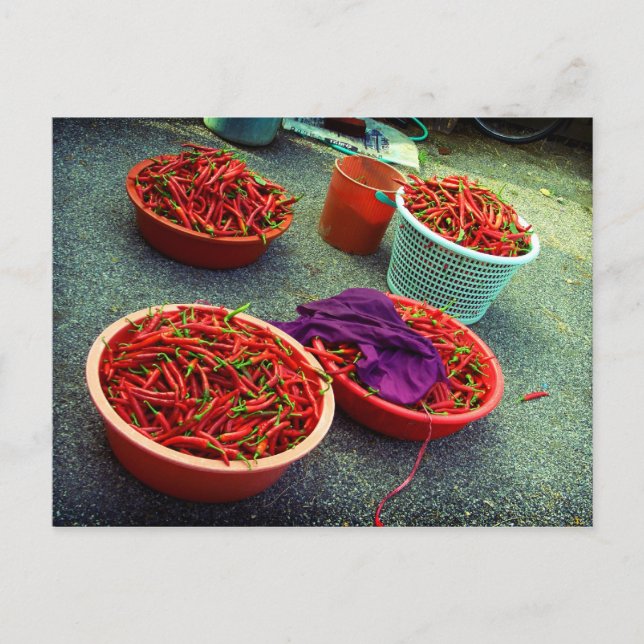 Baskets full of Chilli, Waegwan, South Korea Postcard (Front)