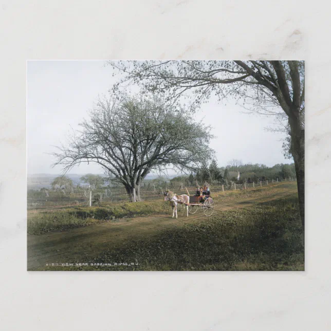 Basking Ridge NJ, Out for a Sunday Drive, Vintage Postcard | Zazzle