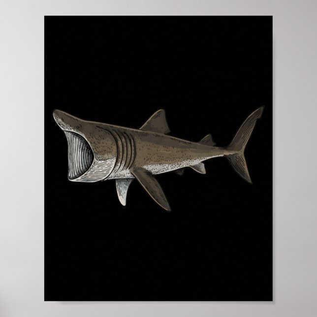 Basking Shark Poster (Front)
