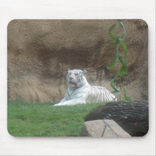 Basking White Tiger Mouse Mat