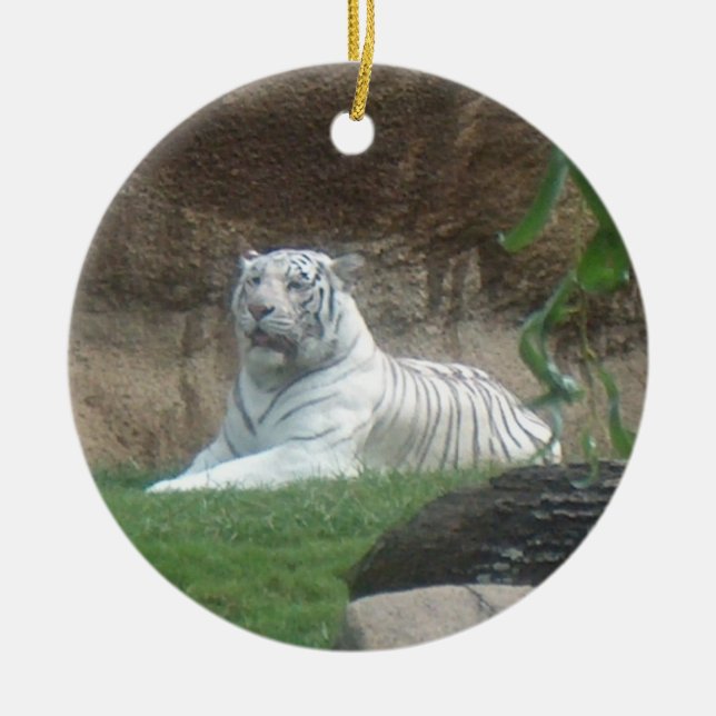 Basking White Tiger Ornament ~ Endangered Species (Front)