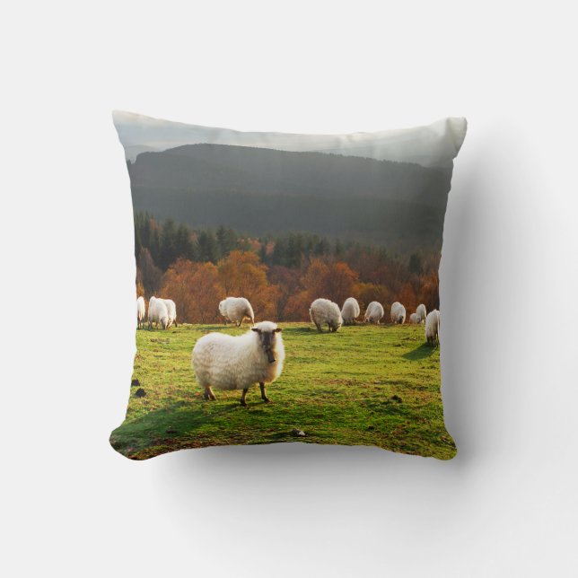 basque country typical latxa sheep cushion (Front)