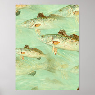 Bass Fish Pattern   Poster