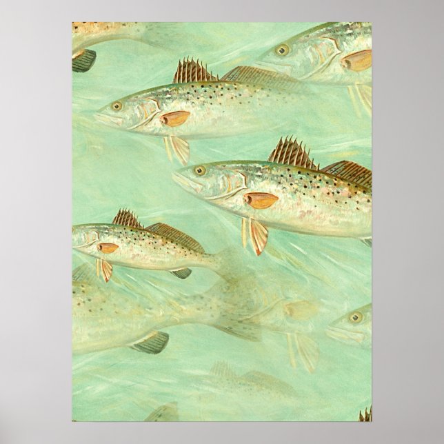 Bass Fish Pattern   Poster (Front)