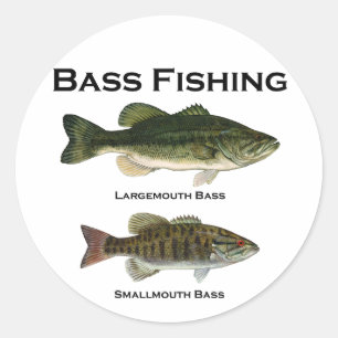 Bass Fishing Logo (largemouth - smallmouth) Classic Round Sticker