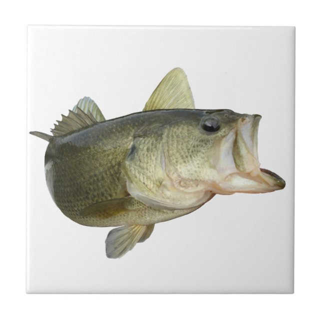 Bass Fishing Tile (Front)