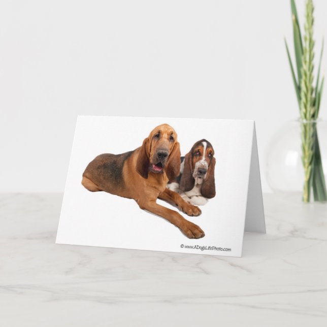 Basset and Bloodhound Buddies Card (Front)