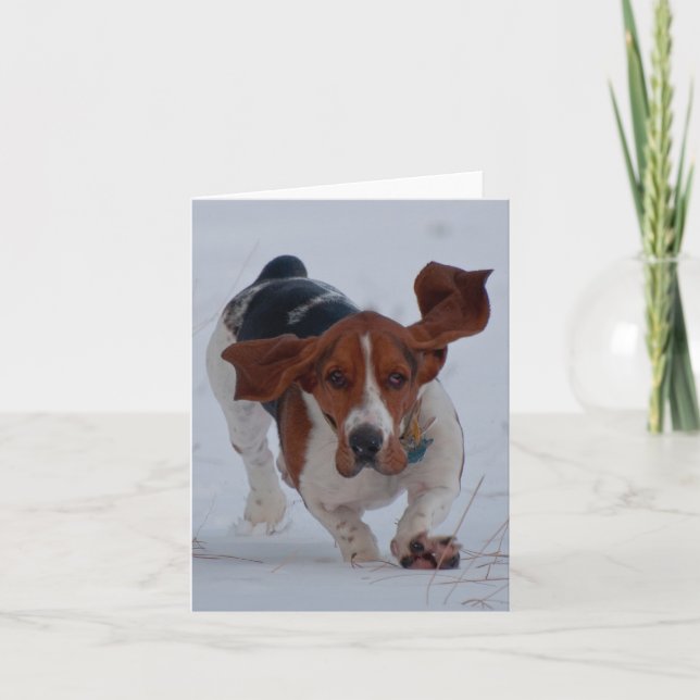 Basset Fast Card (Front)