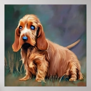 Basset Fauve de Bretagne - Dog Portrait Poster