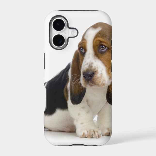 Basset Hound (Back)