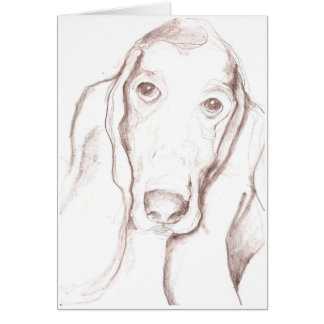 basset hound