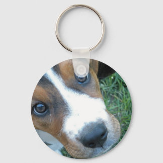 Basset Hound 02 Key Ring