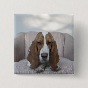 Basset Hound 15 Cm Square Badge