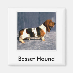 basset_hound 2, Basset Hound Magnet
