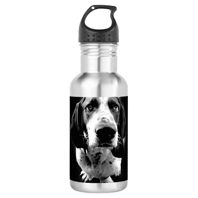 Basset Hound 710 Ml Water Bottle (Front)
