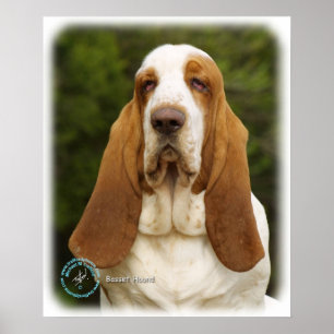 Basset Hound 9L9D-22_2 Poster