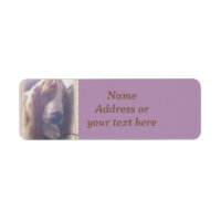 Basset Hound Address Label