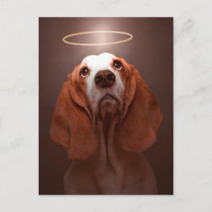Basset Hound Angel Postcard