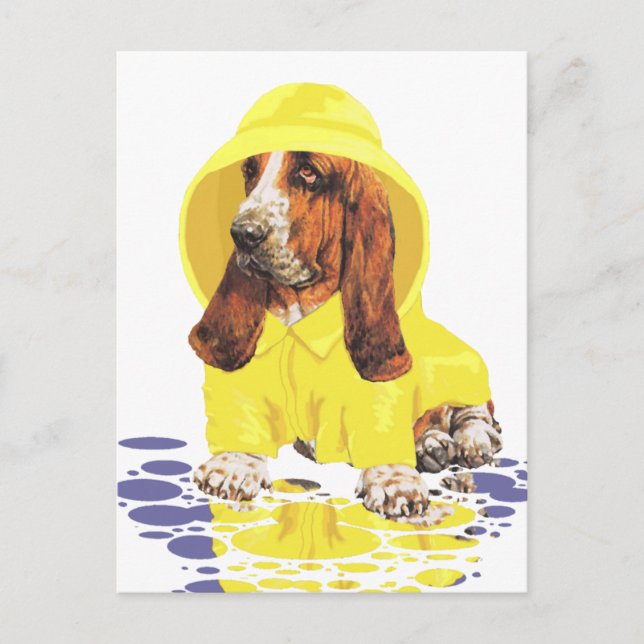 Basset Hound April Showers Postcard (Front)