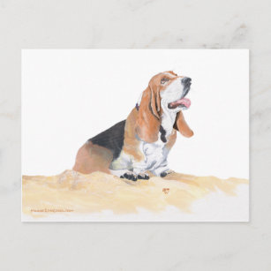 Basset Hound at the Beach Postcard
