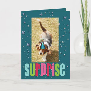 Basset Hound Birthday Card