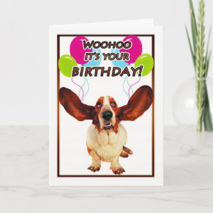 basset hound birthday card - woohoo it's your birt