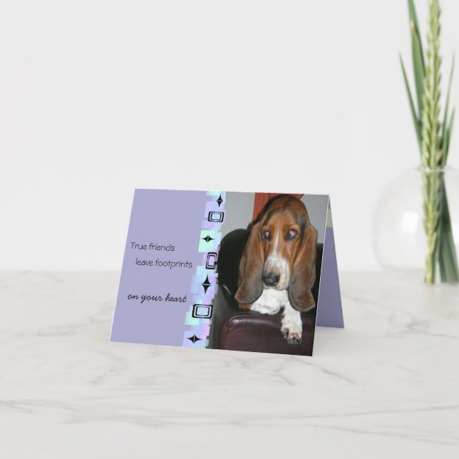 Basset Hound Birthday Greeting Card (Front)