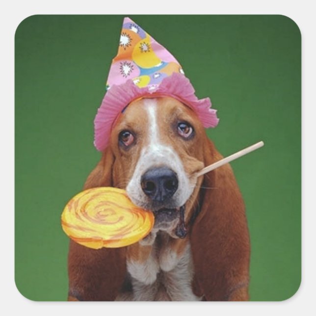 Basset Hound Birthday Lollipop Square Sticker (Front)