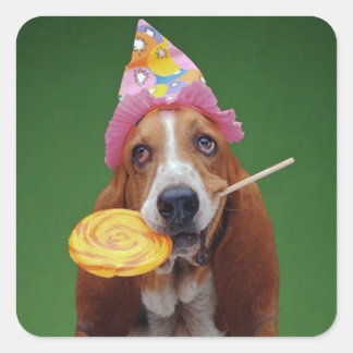 Basset Hound Birthday Lollipop Square Sticker
