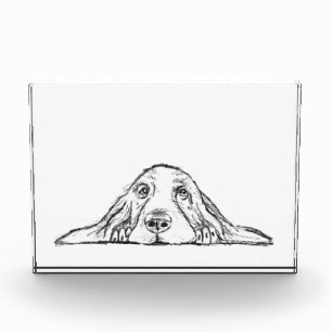 basset hound black white simple puppy dog eyes  photo block