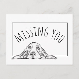 basset hound black white simple puppy dog eyes postcard