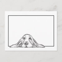 basset hound black white simple puppy dog eyes
